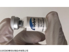 ATCC 18616 ATCC菌種購買 申克孢子絲菌 ATCC細胞庫