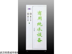 2t 武汉水处理设备中央纯水设备