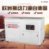 B-40GDI 40kw靜音汽油發(fā)電機(jī)工程用