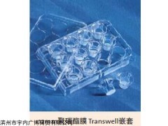 3421 Transwell小室 腫瘤細胞遷移侵襲