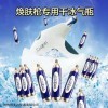 德国之星冷冻冰塑枪厂家操作视频CH
