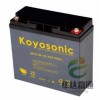 NP160-12 KOYOSONIC蓄电池/进口电池特殊型号