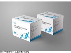 人MTHFR基因多态性检测试剂盒