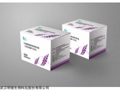 EB病毒核酸检测试剂盒