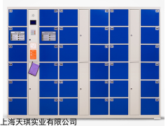 刷卡联网寄存柜