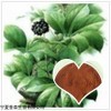 刺五加提取物多糖 一百針速溶粉