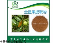 金星果纖維粉10:1水果酵素粉500克
