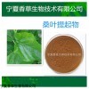 桑葉提取物 桑葉黃酮食品級代OEM代加工