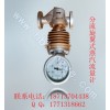 LFX 蒸汽流量计