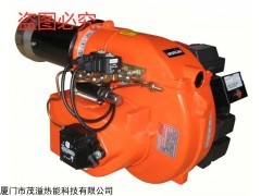 30万大卡甲醇醇基燃烧机