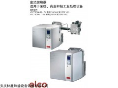 VG6.2100M 德國歐科燃燒器維修