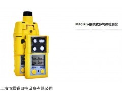 ELNW349 气体检测仪