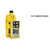 气体检测仪