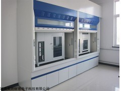 GC7890II7989790plusF 河南全钢通风柜橱工作实验台厂家