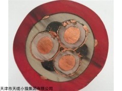 MYPT6KV高压矿用橡套电缆线