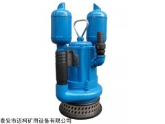 FQW15-100/K矿用风动潜水泵的详细说明