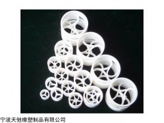 100 聚四氟乙烯鲍尔环