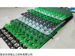 0.8-6.0cm规格齐全 陕西60高车库排水板