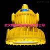 BAD85-M 100W防爆LED灯,BAD85-100W