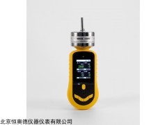 HAD-29670 泵吸二合气体检测仪