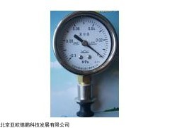 DP-ZKD 手持式罐头真空度测定仪