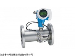 E+H超声波流量计B200 E+H常州代理