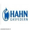 HAHN-GASFEDERN液壓桿 73773 Alchwald