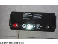 champion蓄电池NP17-12