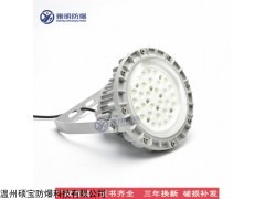 云南40W壁挂式防爆LED灯