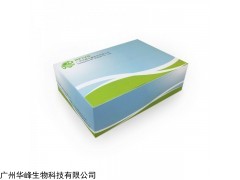 病毒DNA/RNA核酸提取試劑盒（離心柱法）