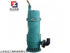 BQS  河南BQS系列矿用隔爆型排污排沙潜水电泵