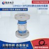 LONGLV-WTQ98A 雙法蘭靜態(tài)扭矩傳感器