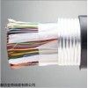 ZZDB-HYAT53-10*2*0.6 纵包钢带通信电缆