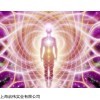 德國基點電磁輻射防護系統(tǒng)
