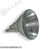 温州CNT9150A 防震高亮度投光灯