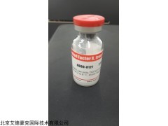 AG00-0121 活化X因子，牛源