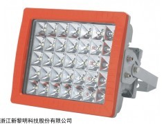 BZD188-02系列防爆免维护LED泛光灯