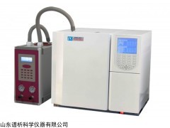 GC-17 非甲烷总烃检测气相色谱仪