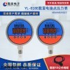 YL-818E数显电接点压力表