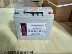 SF2-250 美国索润森蓄电池SF2-250 2V250AH