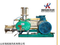 RTSR-80WN 蒸汽压缩机密封形式