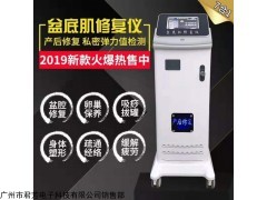 产后修复盆底肌仪器厂家说明书