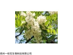 C15H10O7 供应槲皮素  槲皮苷  黄杞苷  水晶兰苷