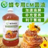 蜂用 em菌养蜂的好处和使用方法