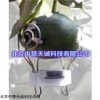 NAFI-LM 大型果實(shí)生長速率傳感器_果實(shí)變化傳感器