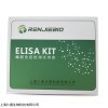 人發(fā)動蛋白2ELISA試劑盒活動促銷