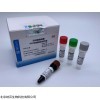 PCR 非洲猪瘟病毒荧光PCR检测试剂盒
