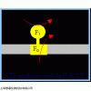 MZ8001 Oligomycin Complex 寡霉素混合物