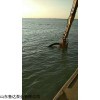 WJQ 鹽湖開(kāi)發(fā)專用液壓清淤泵，污泥泵