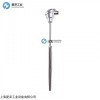 12-70021017-REF GUENTHER熱電偶12-THD系列